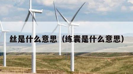 丝是什么意思（练囊是什么意思）