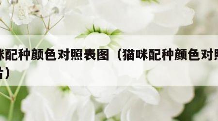 猫咪配种颜色对照表图（猫咪配种颜色对照表图片）