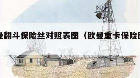 欧曼翻斗保险丝对照表图（欧曼重卡保险图纸图）