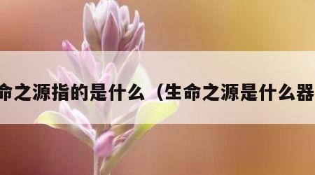 生命之源指的是什么（生命之源是什么器官）