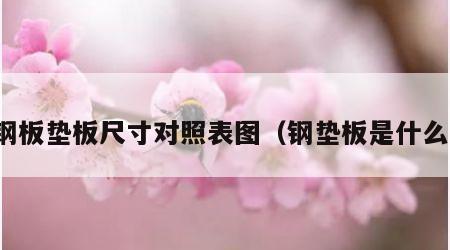 钢板垫板尺寸对照表图（钢垫板是什么）
