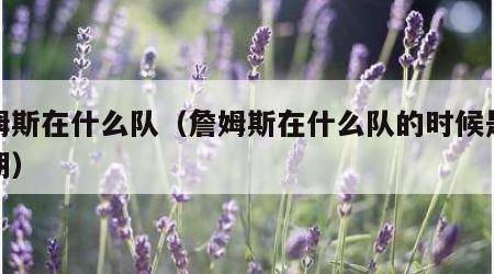 詹姆斯在什么队（詹姆斯在什么队的时候是巅峰期）