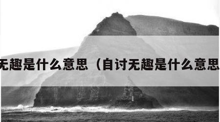 无趣是什么意思（自讨无趣是什么意思）