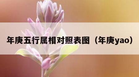 年庚五行属相对照表图（年庚yao）