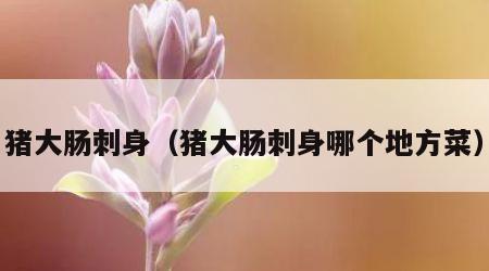 猪大肠刺身（猪大肠刺身哪个地方菜）