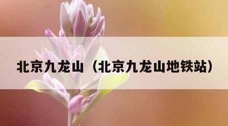 北京九龙山（北京九龙山地铁站）