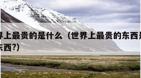 世界上最贵的是什么（世界上最贵的东西是什么东西?）