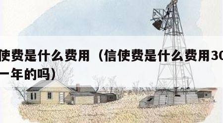 信使费是什么费用（信使费是什么费用30元是一年的吗）