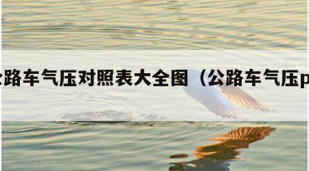 公路车气压对照表大全图（公路车气压psi）