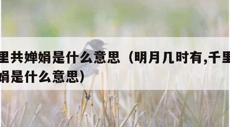 千里共婵娟是什么意思（明月几时有,千里共婵娟是什么意思）