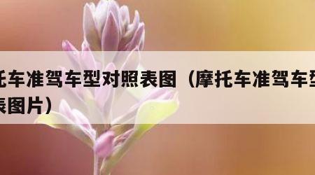摩托车准驾车型对照表图（摩托车准驾车型对照表图片）