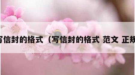 写信封的格式（写信封的格式 范文 正规）