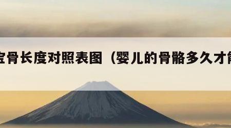 宝宝骨长度对照表图（婴儿的骨骼多久才能长好）