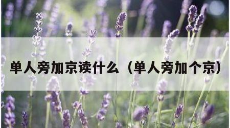 单人旁加京读什么（单人旁加个京）