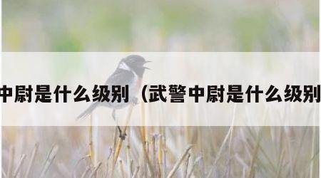 中尉是什么级别（武警中尉是什么级别）