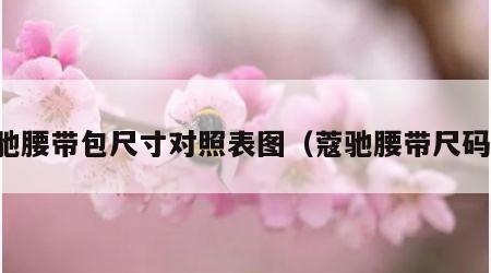 蔻驰腰带包尺寸对照表图（蔻驰腰带尺码表）
