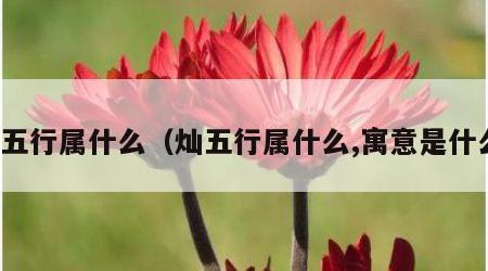 灿五行属什么（灿五行属什么,寓意是什么）