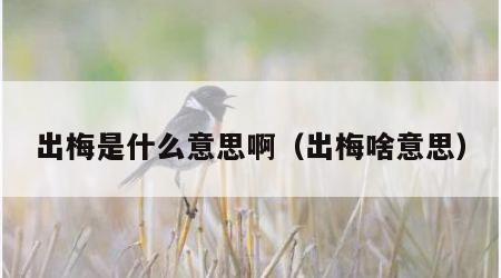 出梅是什么意思啊（出梅啥意思）