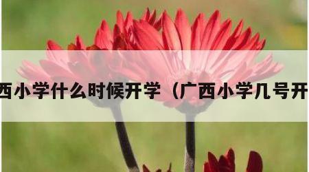 广西小学什么时候开学（广西小学几号开学）