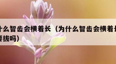 为什么智齿会横着长（为什么智齿会横着长不痛要拔吗）