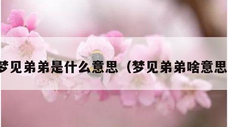 梦见弟弟是什么意思（梦见弟弟啥意思）