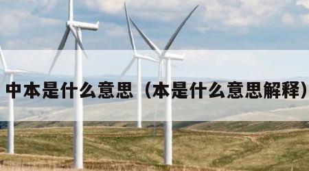 中本是什么意思（本是什么意思解释）