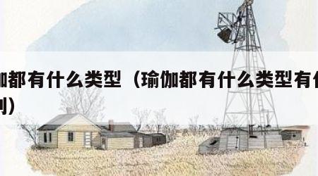 瑜伽都有什么类型（瑜伽都有什么类型有什么区别）