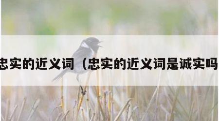忠实的近义词（忠实的近义词是诚实吗）