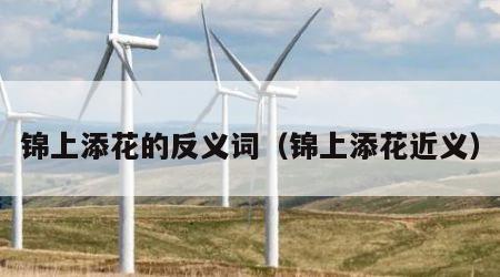 锦上添花的反义词（锦上添花近义）