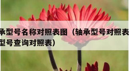 轴承型号名称对照表图（轴承型号对照表,轴承型号查询对照表）