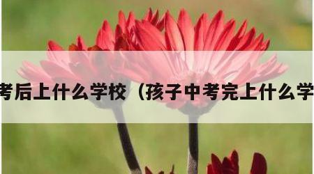 中考后上什么学校（孩子中考完上什么学校）