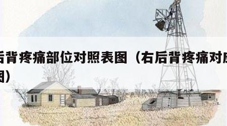 右后背疼痛部位对照表图（右后背疼痛对应器官图）