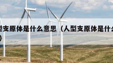 人型支原体是什么意思（人型支原体是什么意思?）