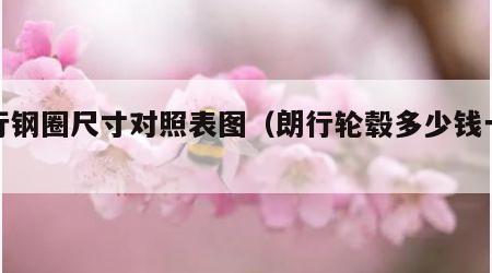 朗行钢圈尺寸对照表图（朗行轮毂多少钱一个）