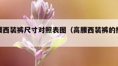 高腰西装裤尺寸对照表图（高腰西装裤的搭配）