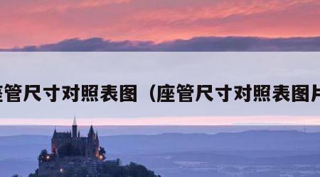 座管尺寸对照表图（座管尺寸对照表图片）