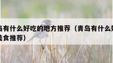 青岛有什么好吃的地方推荐（青岛有什么好吃的美食推荐）