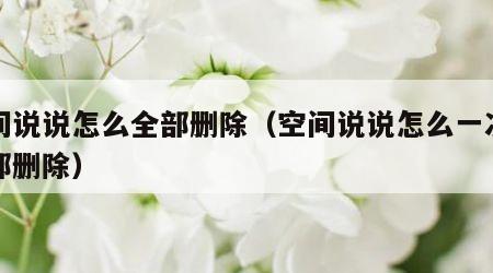 空间说说怎么全部删除（空间说说怎么一次性全部删除）