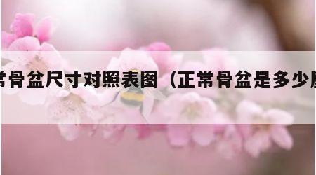 正常骨盆尺寸对照表图（正常骨盆是多少厘米）
