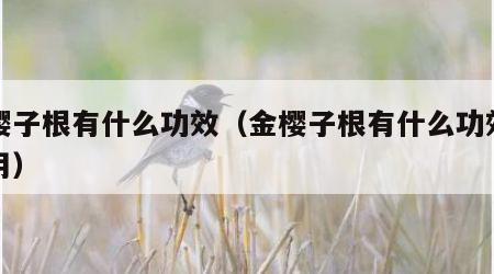 金樱子根有什么功效（金樱子根有什么功效和作用）