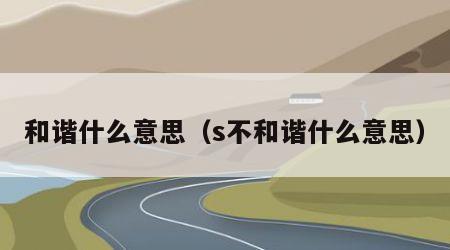 和谐什么意思（s不和谐什么意思）