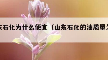 山东石化为什么便宜（山东石化的油质量怎么样）