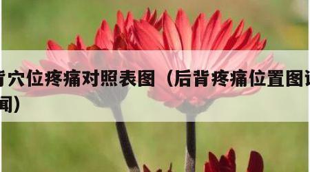 后背穴位疼痛对照表图（后背疼痛位置图详解 新闻）