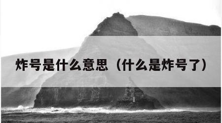 炸号是什么意思（什么是炸号了）