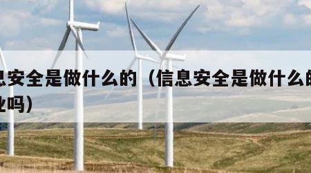 信息安全是做什么的（信息安全是做什么的好就业吗）