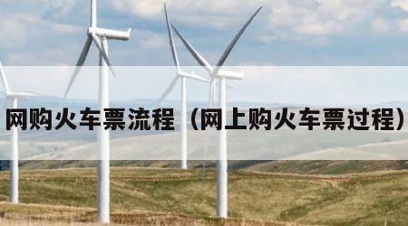 网购火车票流程（网上购火车票过程）