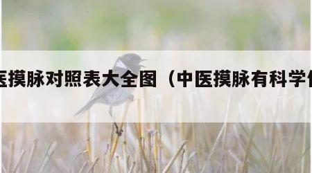 中医摸脉对照表大全图（中医摸脉有科学依据吗）