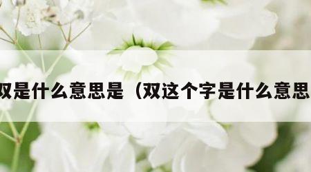 双是什么意思是（双这个字是什么意思）