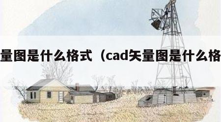 矢量图是什么格式（cad矢量图是什么格式）