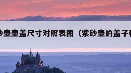 紫砂壶壶盖尺寸对照表图（紫砂壶的盖子种类）